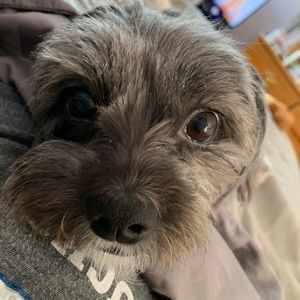 Meet your Posher, Enid